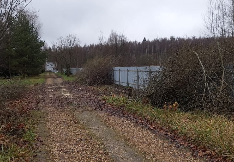 Проведены работы по удалению мелколесья вдоль забора на 1-й линии